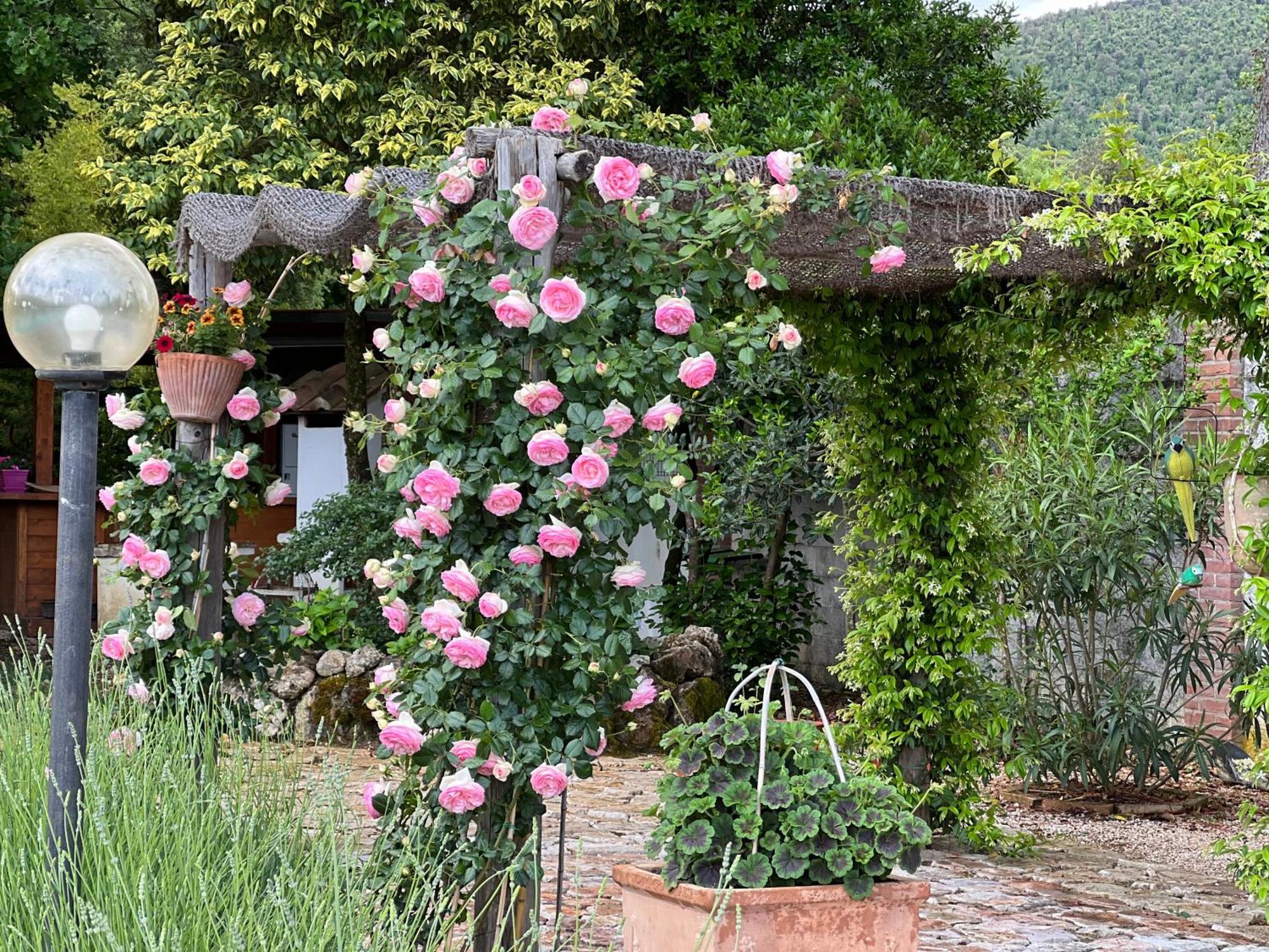 Le Case Di Lisetta Holiday Homes Corciano Exterior photo