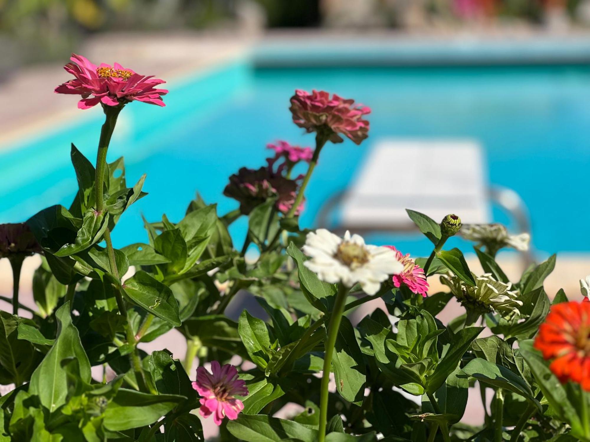 Le Case Di Lisetta Holiday Homes Corciano Exterior photo